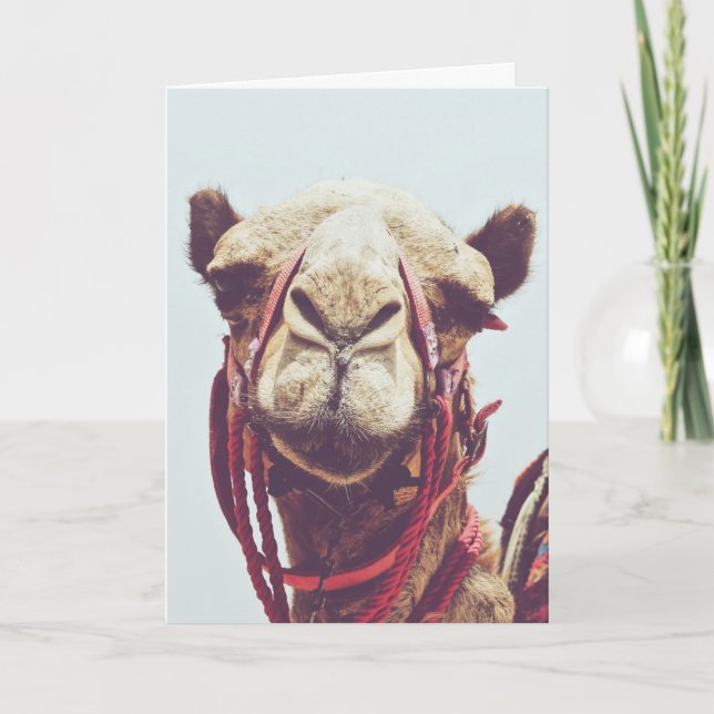 Carte Photo de visage amusant d'une Sassy Cute Llama (Devant)