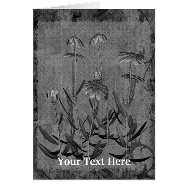 Carte photo design Daisies (Devant)