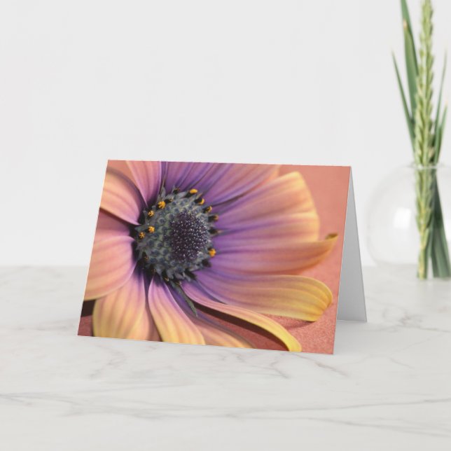 Carte Photo & design de Charmaine French-Allaka 112010 (Devant)