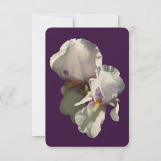 Carte photo détaillée d'un iris blanc