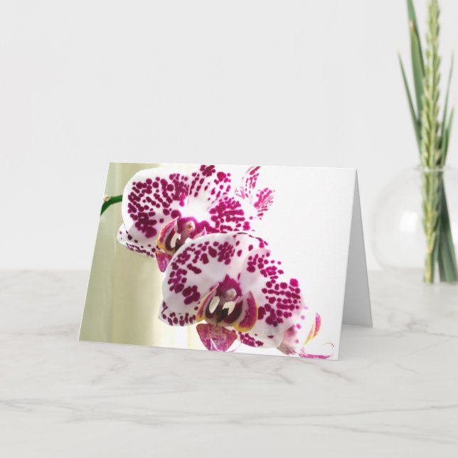 Carte Photo d'orchidée violette variée Pensée pour vous (Devant)