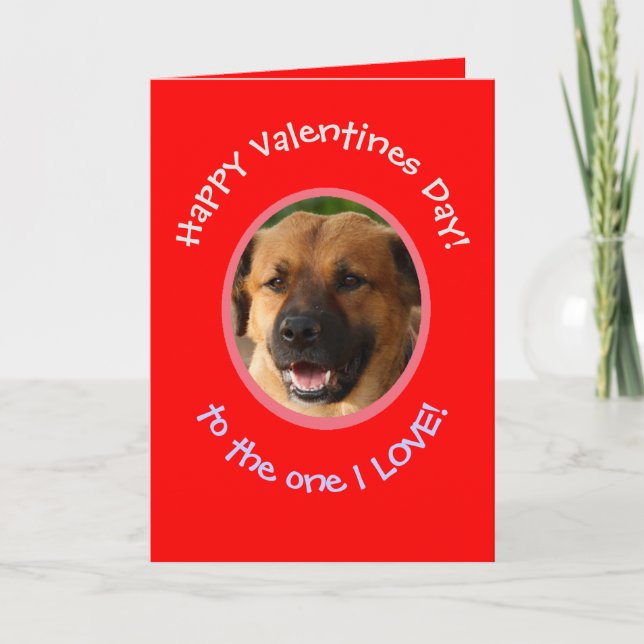 Carte photo drôle de la Saint-Valentin de chien à  (Devant)