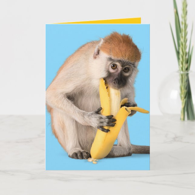 Carte Photo drôle d'un mignon singe mangeant une banane (Devant)
