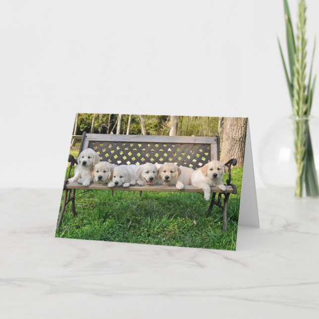 Carte Photo du banc de la vaillance de Rhonda (Devant)