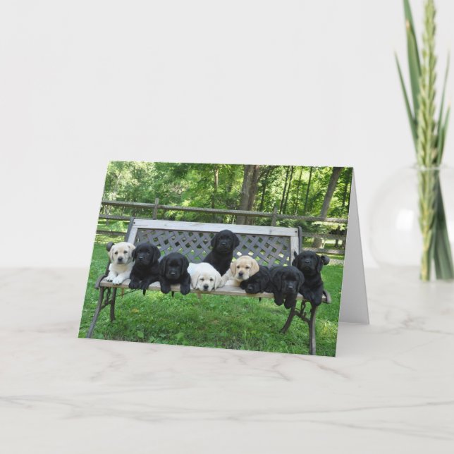 Carte Photo du banc d'honneur (Devant)