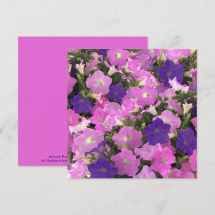 Carte Photo Du Matin Gloire Fleurs Roses Et Violettes