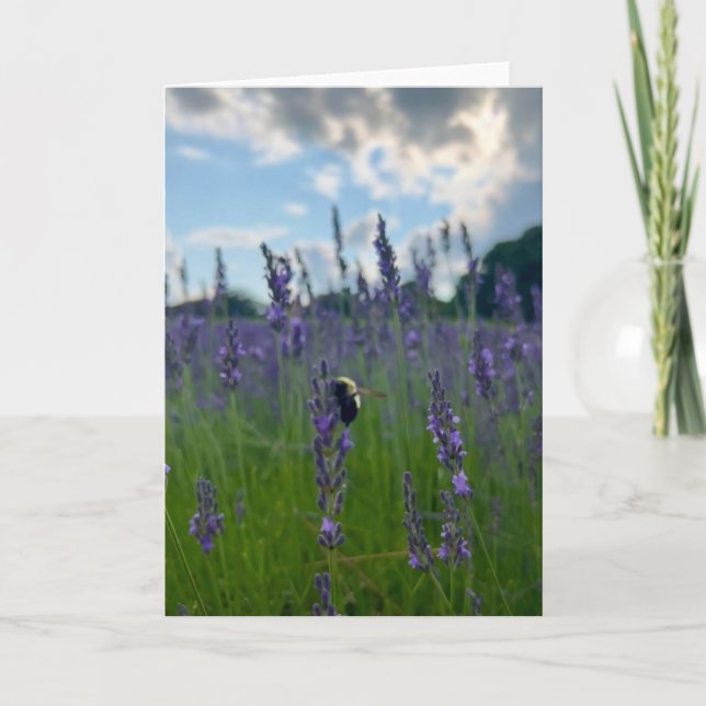 Carte Photo d'une fleur de New England Blank Greeting (Devant)