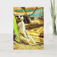 Photo et message d'anniversaire Meerkat personnell