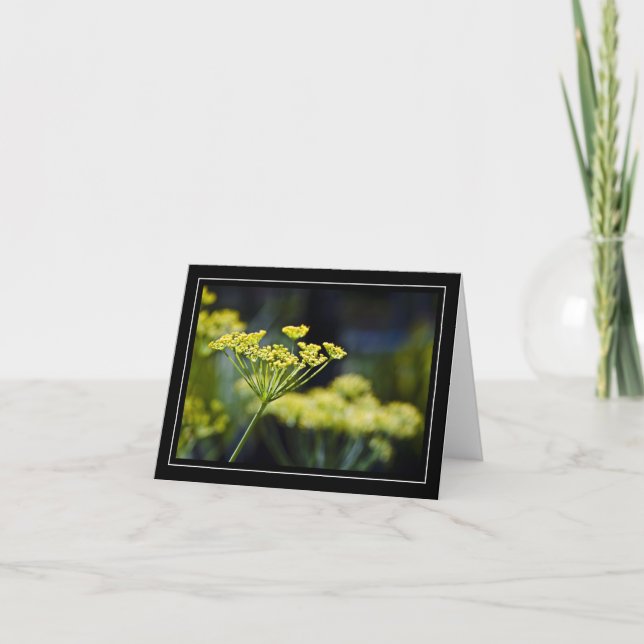 Carte photo fleur sauvage (Devant)