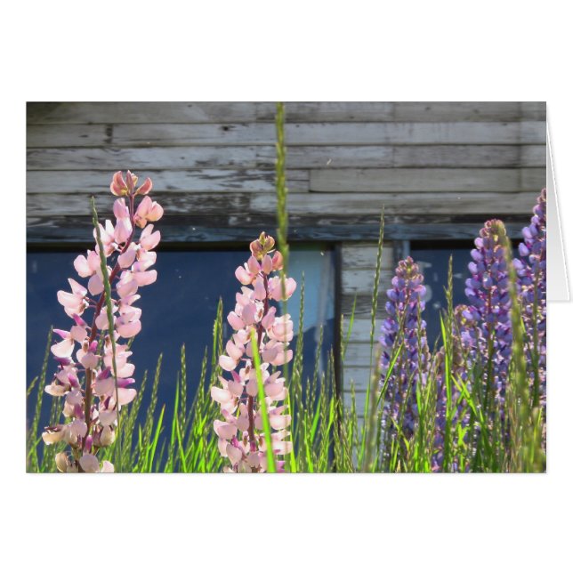 Carte photo floral (Devant Horizontal)