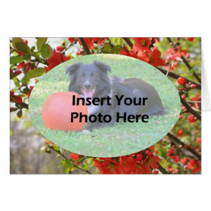 Carte photo floral des fleurs rouges