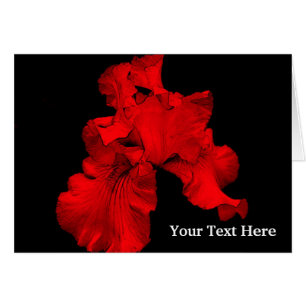 Carte photo floral Red Hot Daffodil