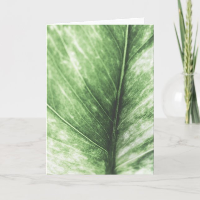 Carte Photo florale à feuilles vertes (Devant)
