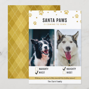 Carte photo Gold Naughty ou Nice Two Dog Christmas