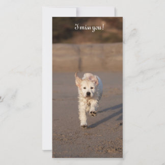 Carte photo Golden Retriever