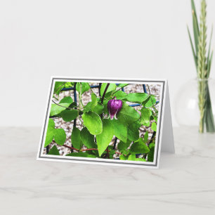 Carte Photo Gros plan Purple Clematis Green Foliage