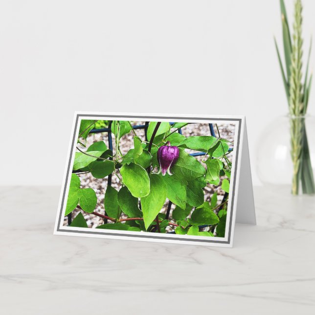 Carte Photo Gros plan Purple Clematis Green Foliage (Devant)