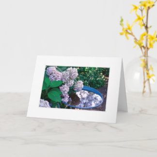 Carte photo Hydrangea