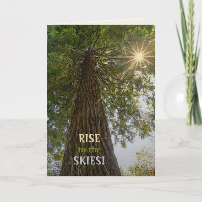 Carte Photo inspirante d'un arbre vers le ciel (Devant)