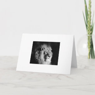 Carte Photo Lion noir et blanc