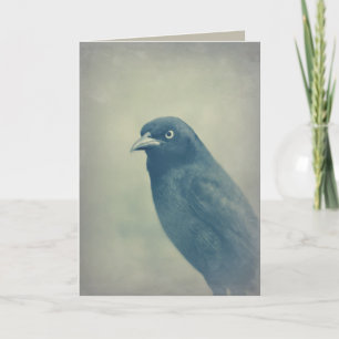 Carte Photo magnifique de Raven