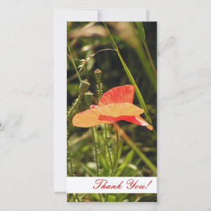 Carte photo Merci