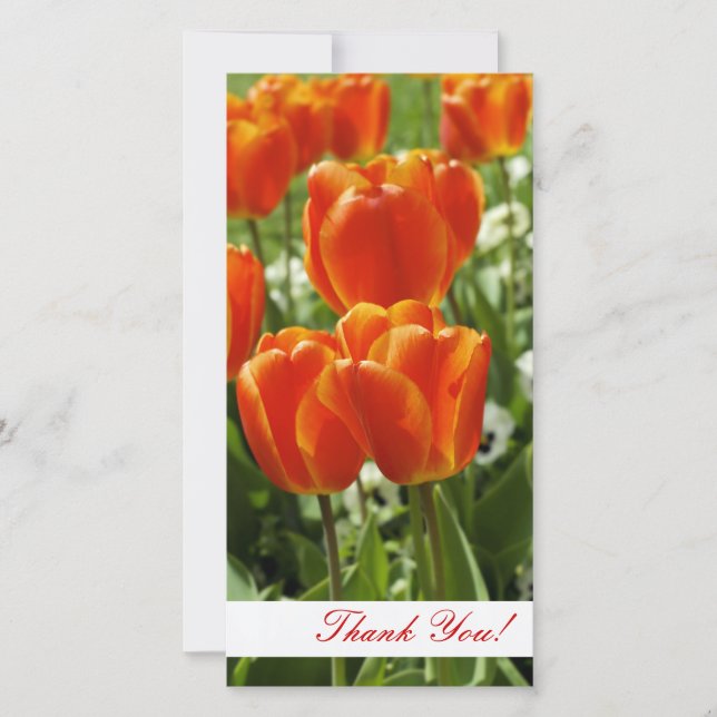 Carte photo Merci (Devant)