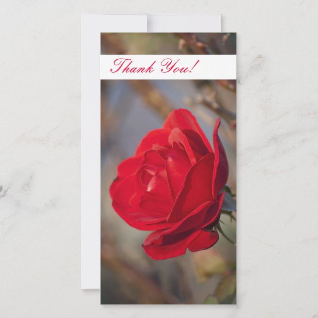 Carte photo Merci (Devant)