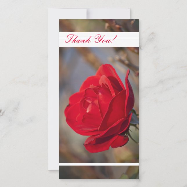 Carte photo Merci (Devant)