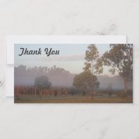 carte photo Merci - Kangaroos dans le brouillard