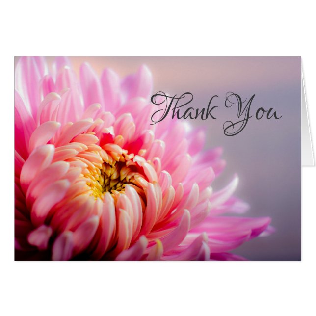 Carte photo Merci rose Chrysanthemum Macro (Devant Horizontal)