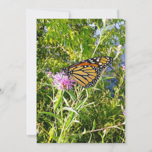 Carte Photo Monarch Butterfly