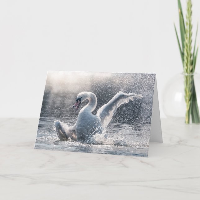 Carte photo naturel de Swan (Devant)