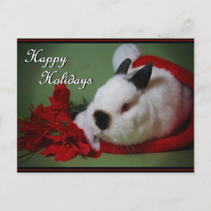 carte photo "Noël lapin"