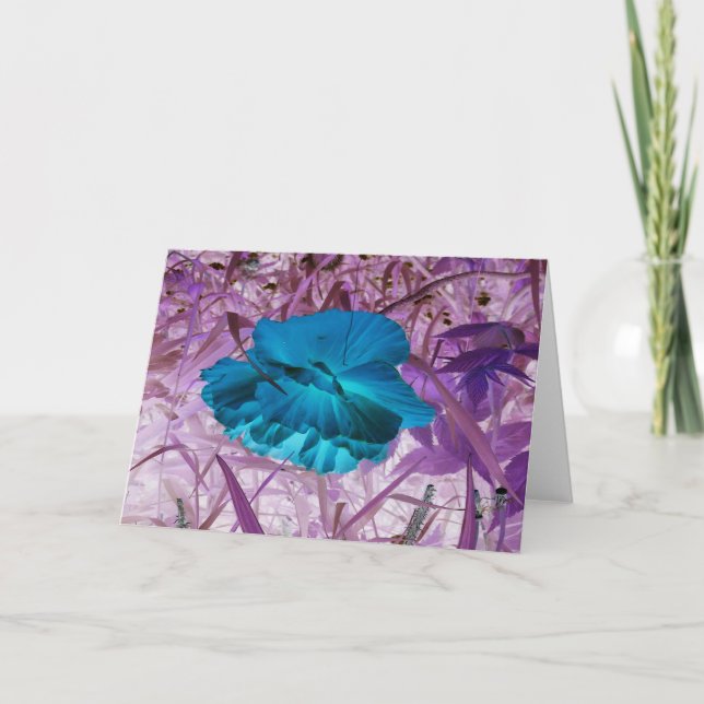 Carte Photo Numériquement "Blue Poppy" : Fleur, Herbe (Devant)