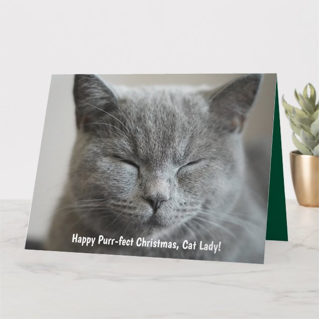 Carte Photo personnalisée Cute Grey Kitty Photo Purr-fec (Petite plante)
