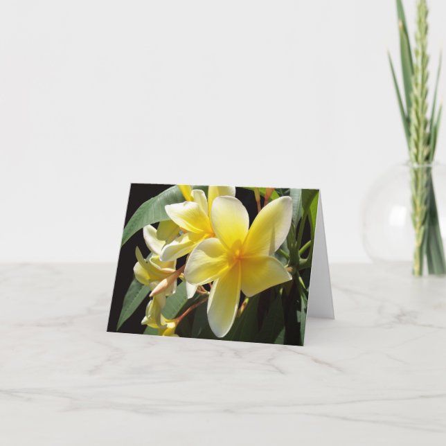Carte photo Plumeria jaune pliée (Devant)