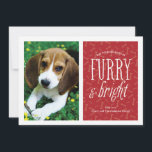 Carte photo pour animaux de compagnie<br><div class="desc">Montrez la photo de votre bébé dans ce carte photo moderne avec l'expression "furry and bright".</div>