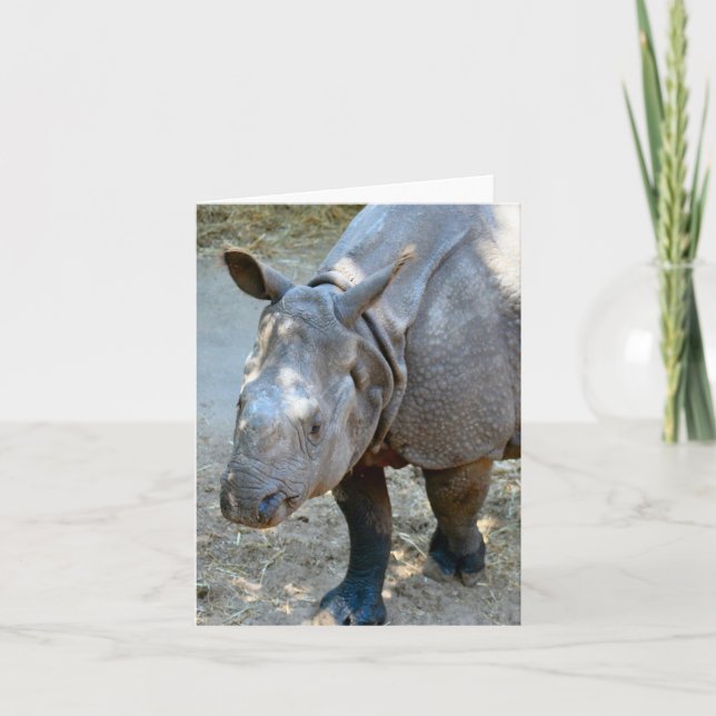 Carte photo rabattée Rhinoceros (Devant)