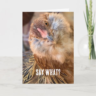 Carte Photo rapproché drôle d'un poulet Amber Brown curi