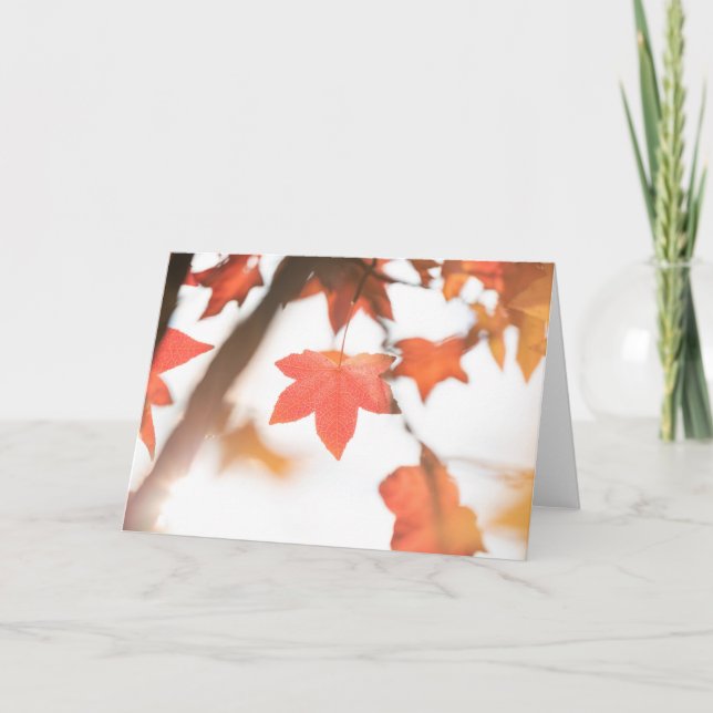 Carte Photo Red Autumn Leaf Nature (Devant)