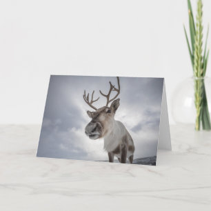 Carte Photo Reindeer