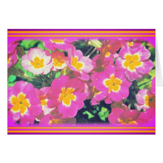 Carte photo rose (Devant horizontal)