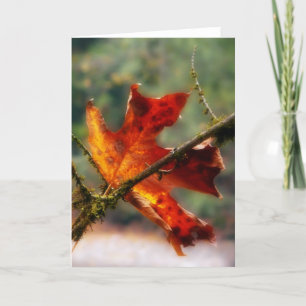 Carte Photo rouge de nature de feuille d'automne