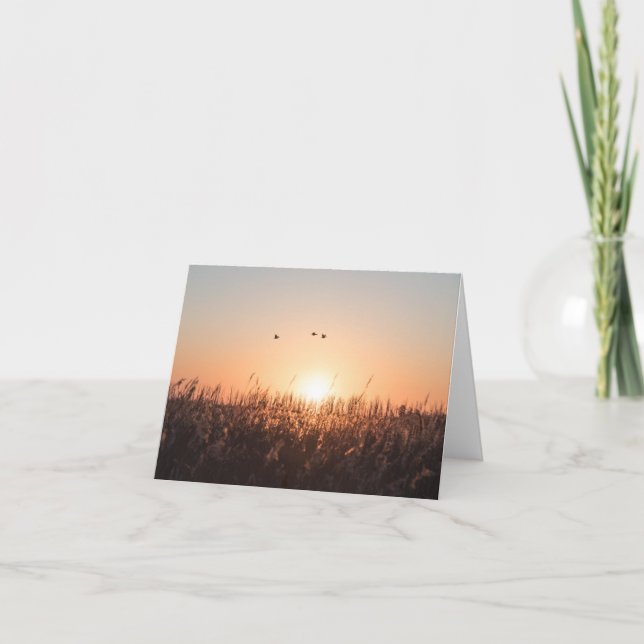 Carte Photo Sunrise Reed Nature (Devant)