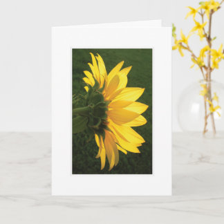 Carte photo tournesol
