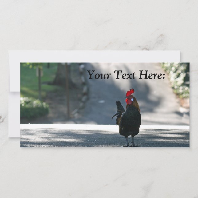 Carte photo vierge, Rooster (Devant)