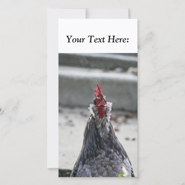 Carte photo vierge, Rooster (Devant)