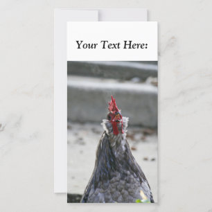 Carte photo vierge, Rooster