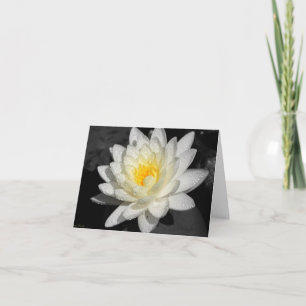 Carte Photo White Water Lily
